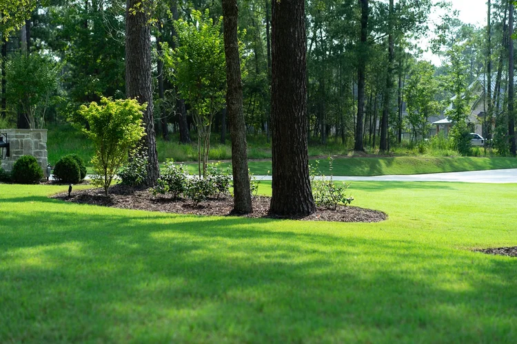 Lush green lawn with mature trees and landscaped garden beds