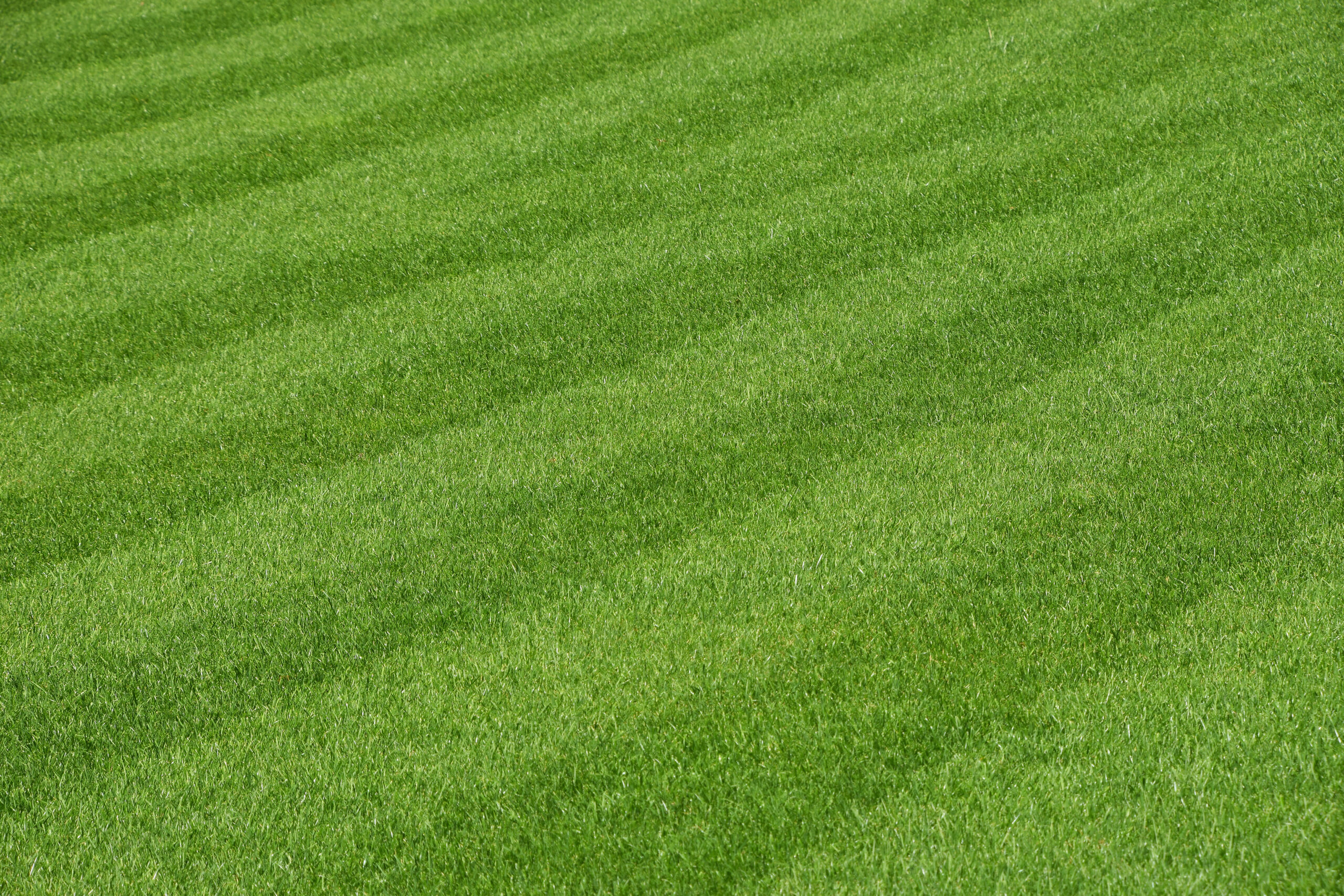 Well-maintained green lawn with professional mowing stripes