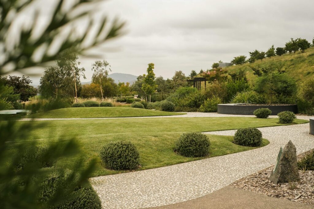 Well-maintained ornamental shrubs and trees in a residential landscape